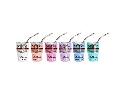 Sublimation Blank 3oz/90ml Mini Sub Stainless Steel Tumbler Shot Glass w/ Straw